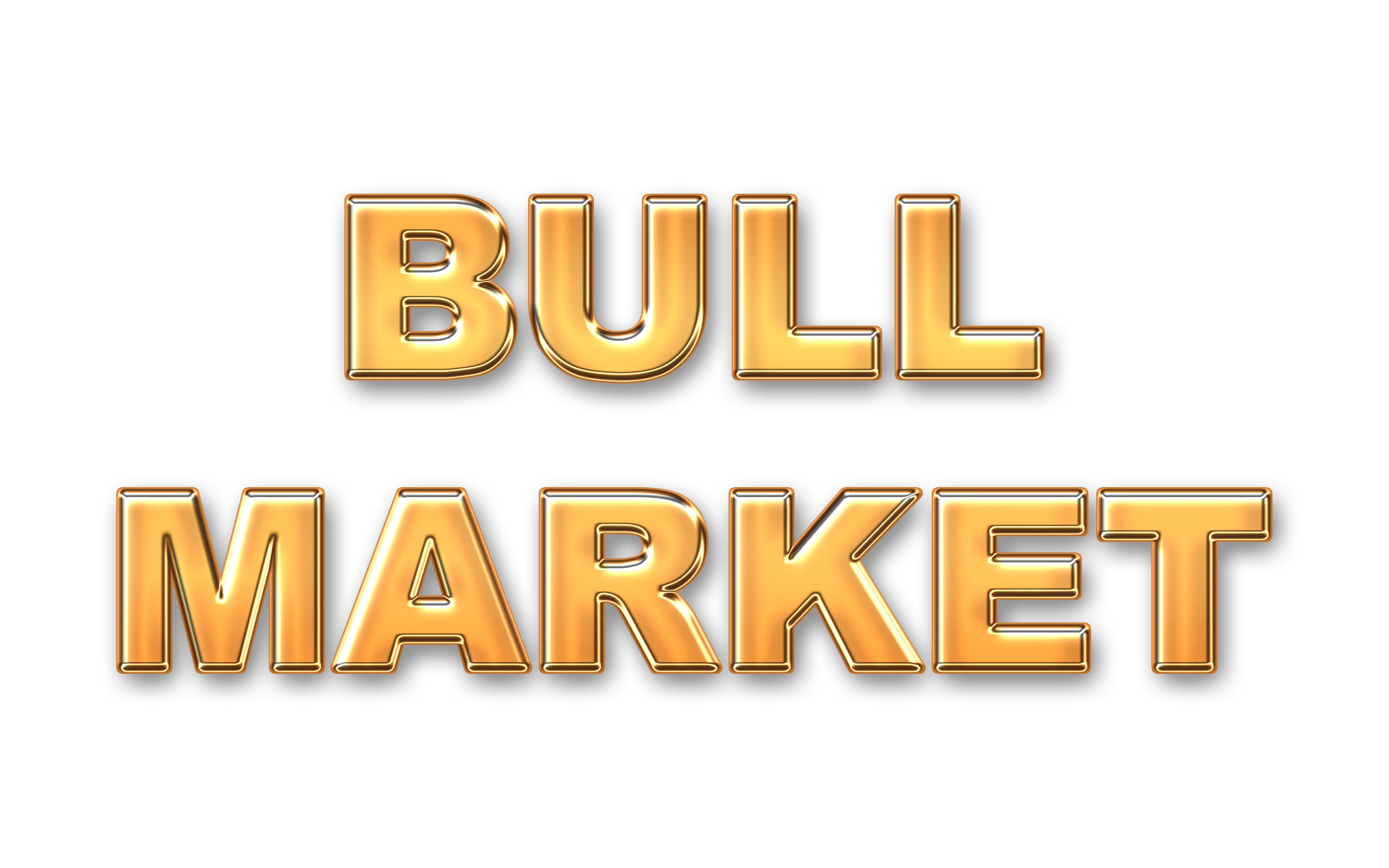 Bull Market